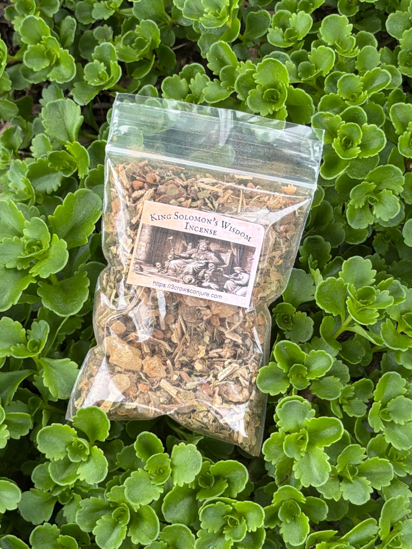 King Solomon's Wisdom Incense