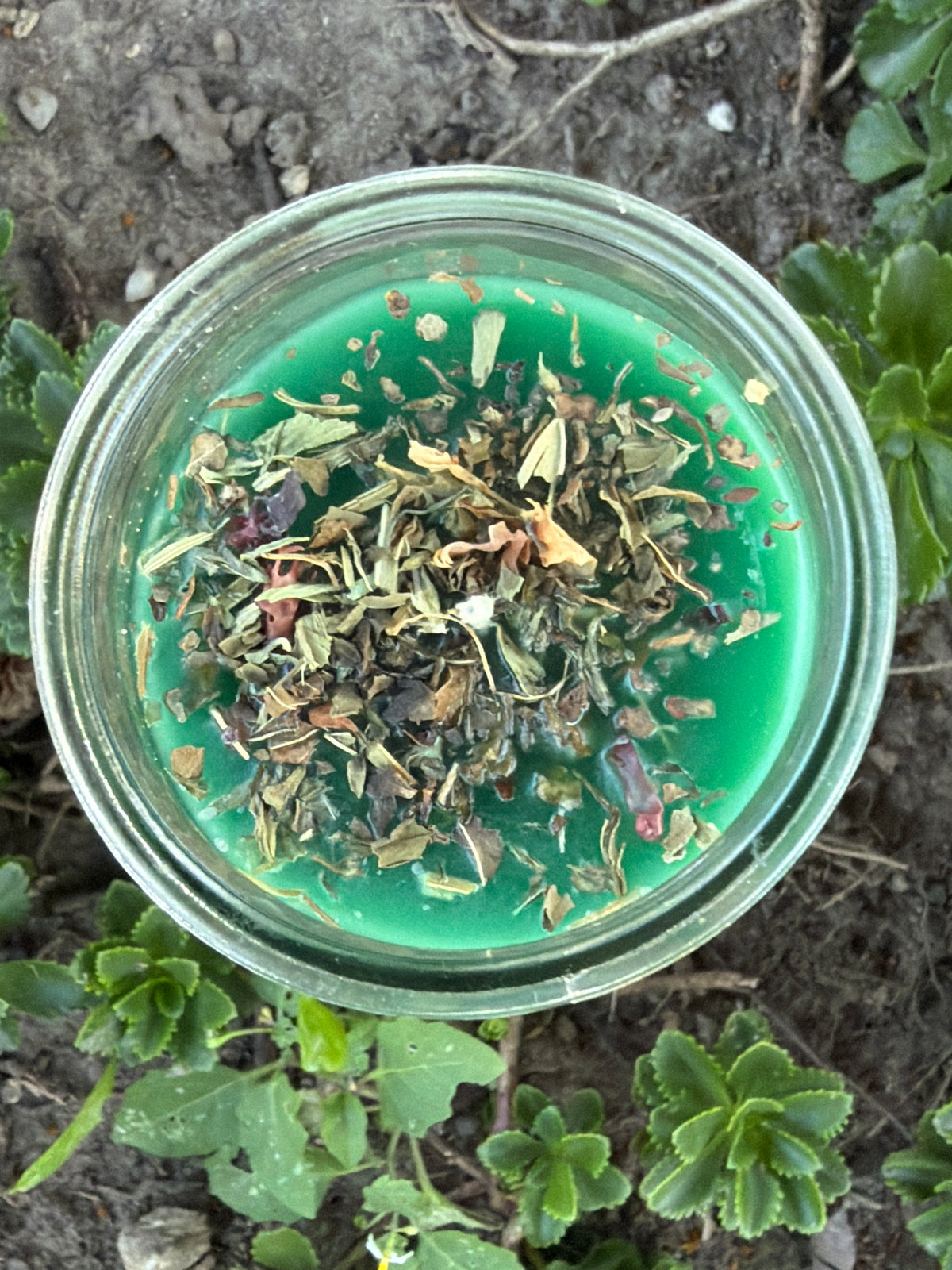 Saint Jude 7 Day Fixed Candle