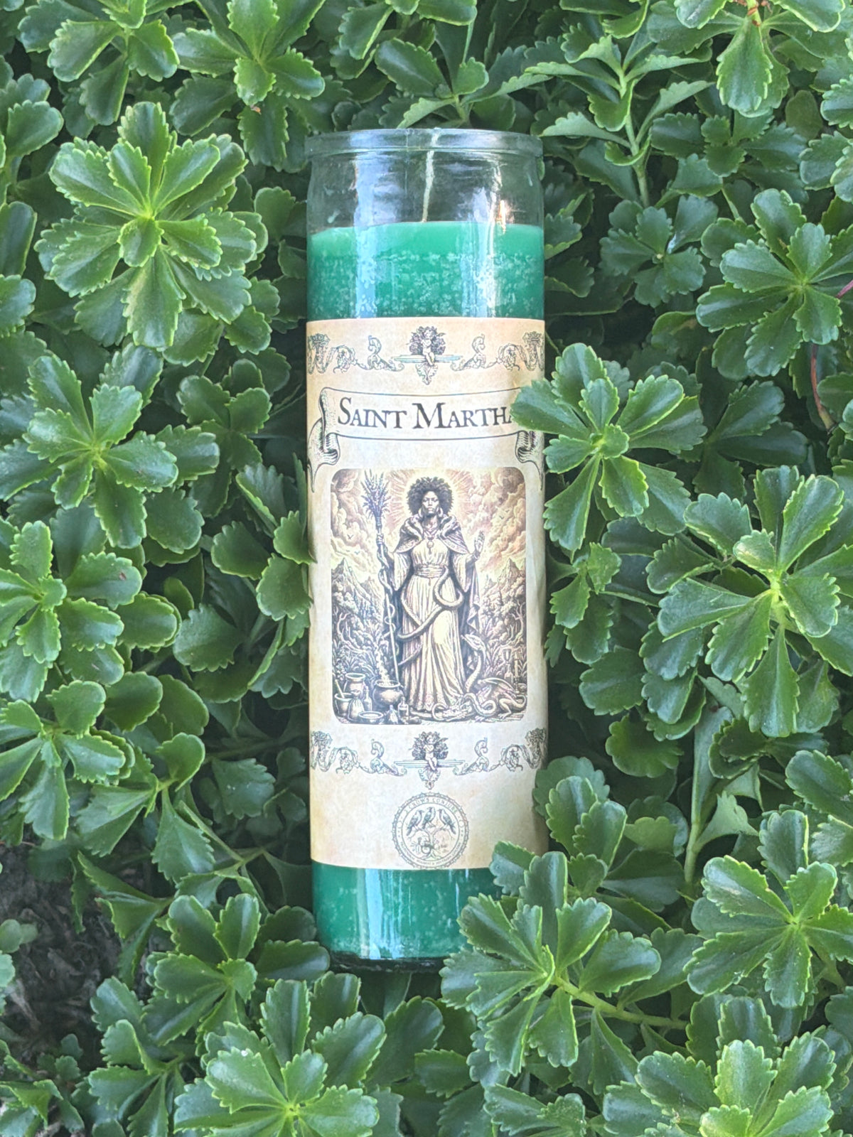 Saint Martha the Dominator 7 Day Fixed Candle