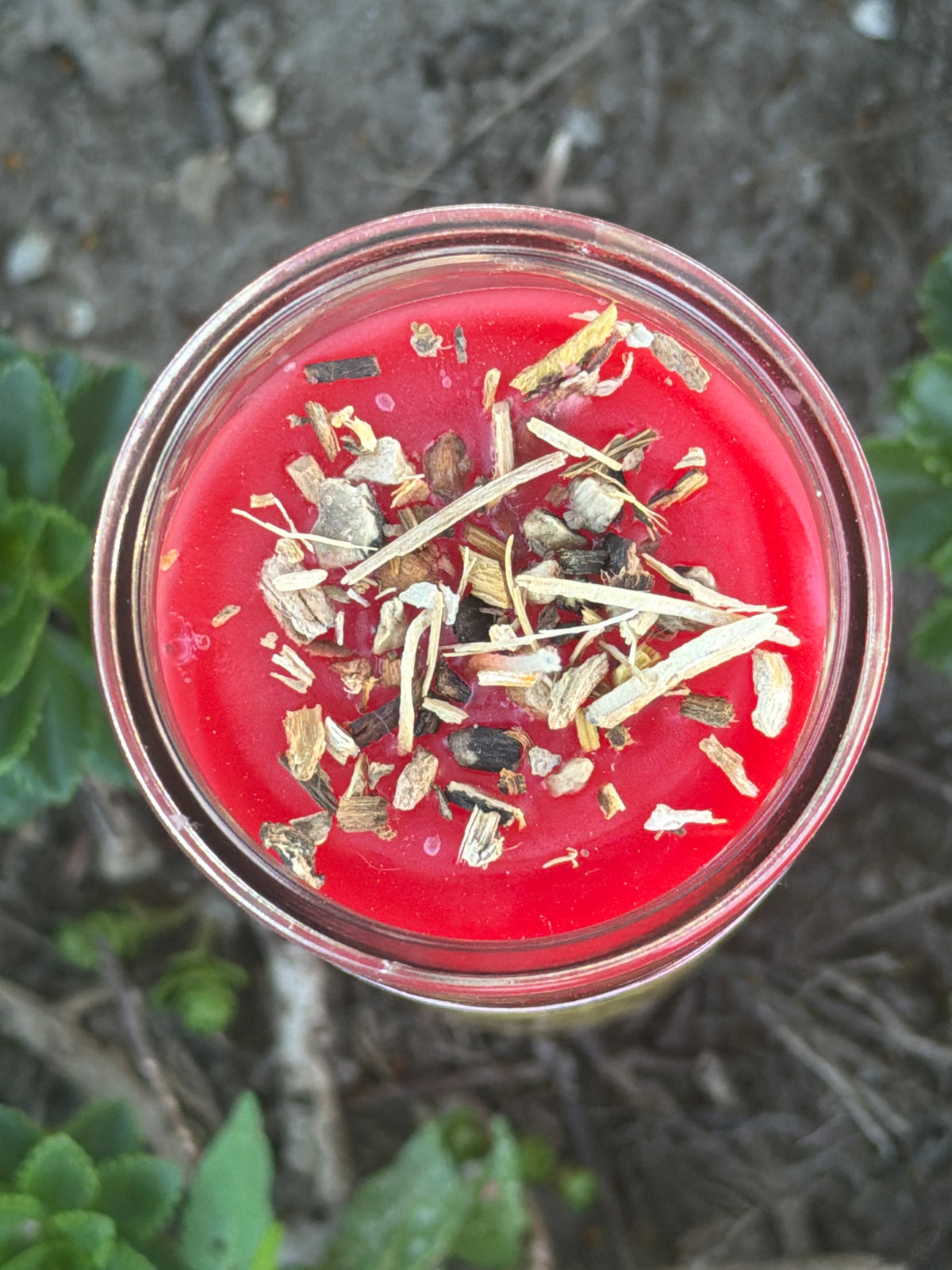 Saint Martha the Dominator 7 Day Fixed Candle