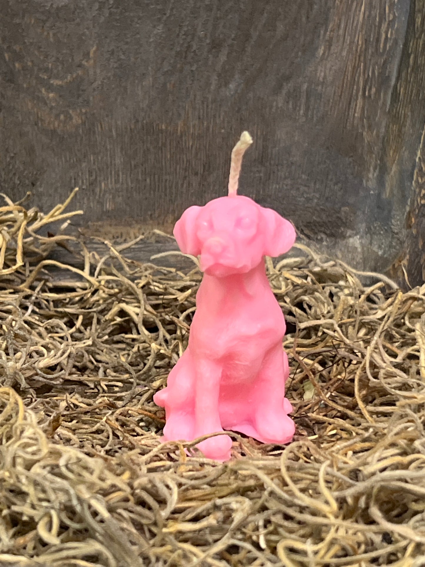 Dog Candle (Small)