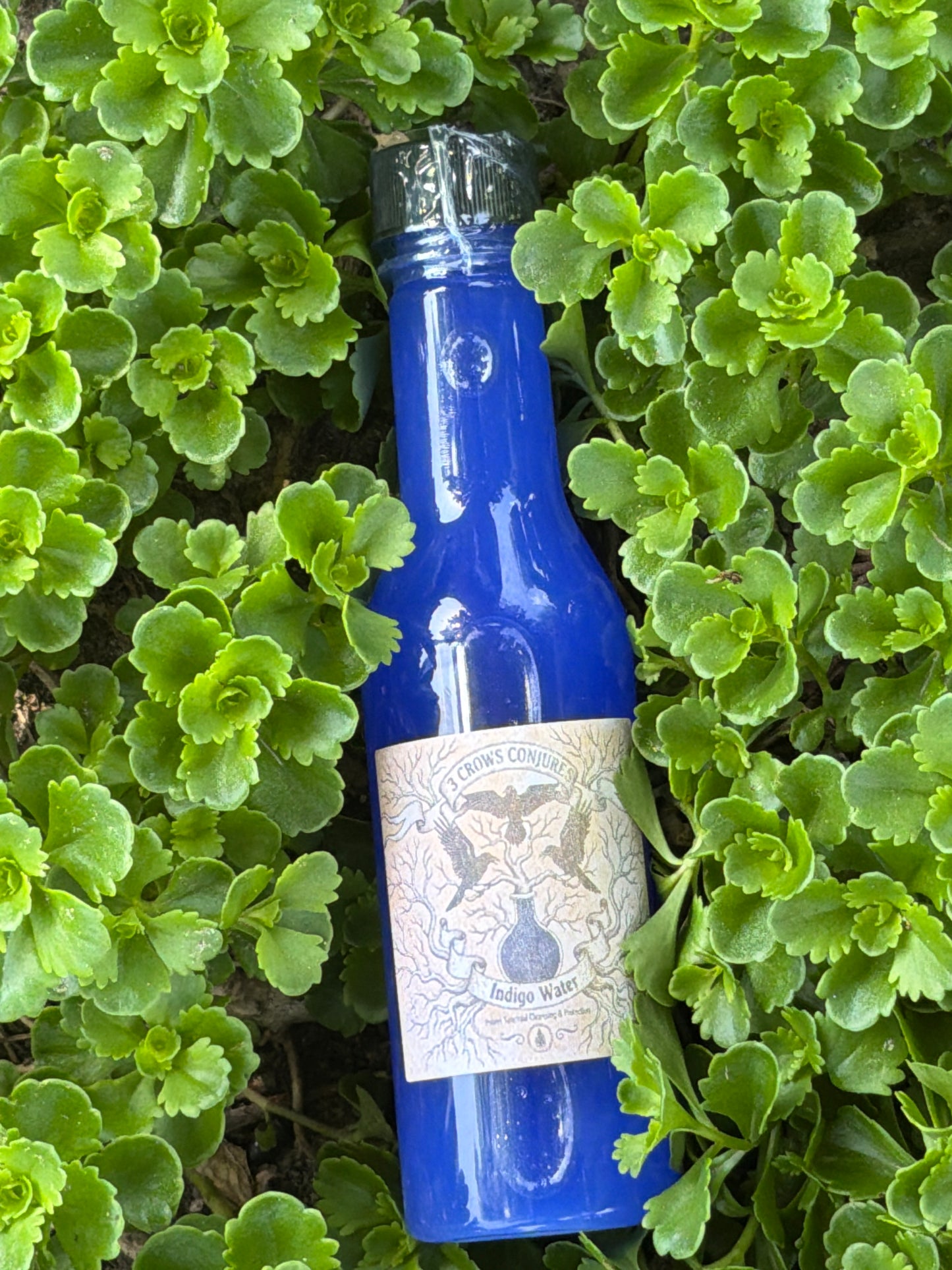 Indigo Water