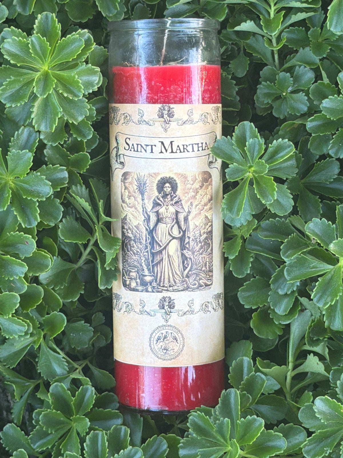 Saint Martha the Dominator 7 Day Fixed Candle