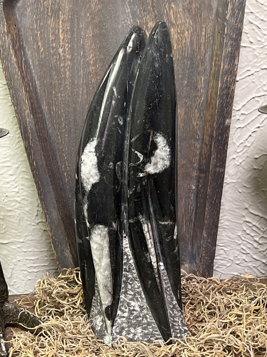 Orthoceras Sculpture