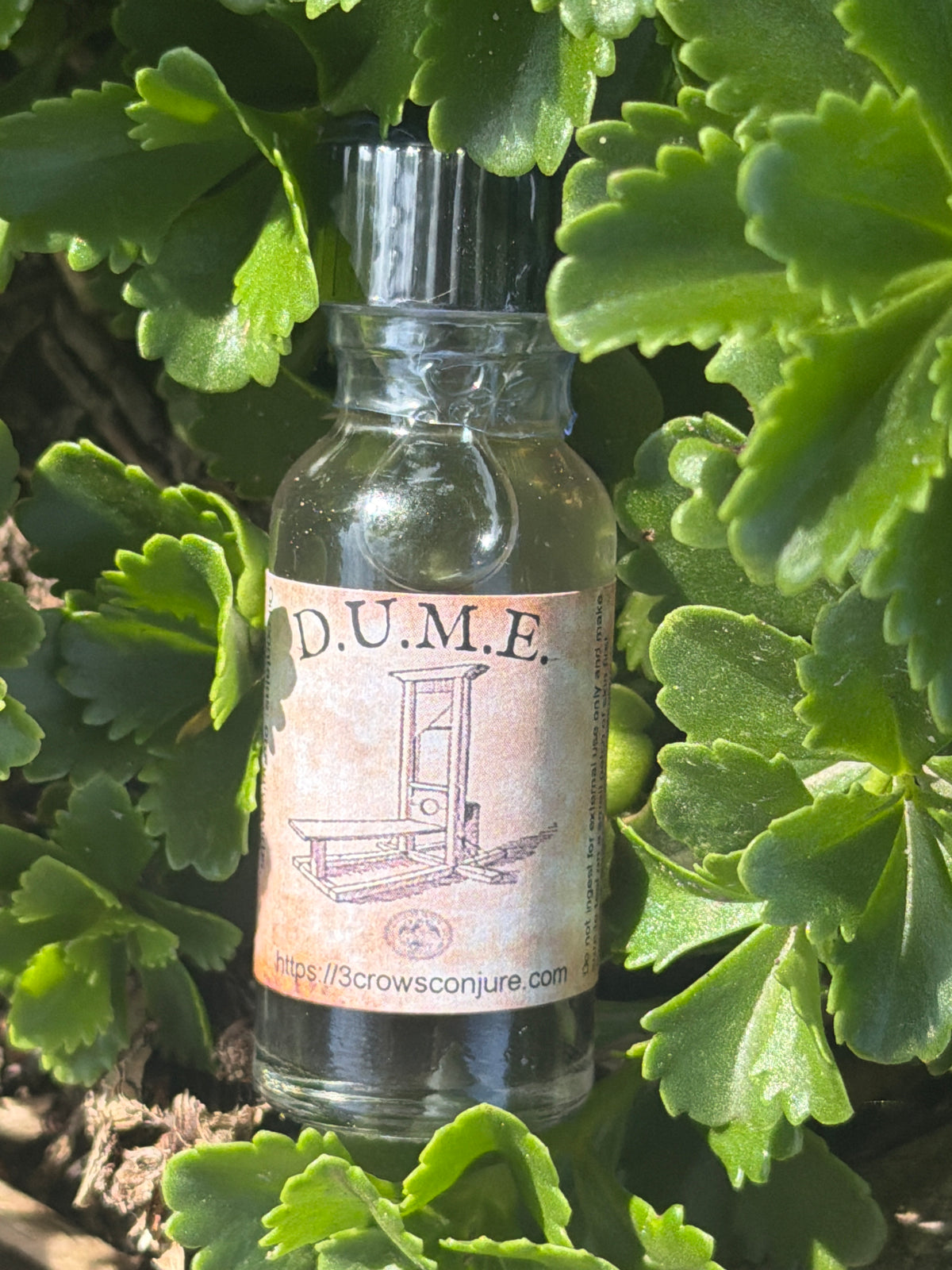DUME Oil
