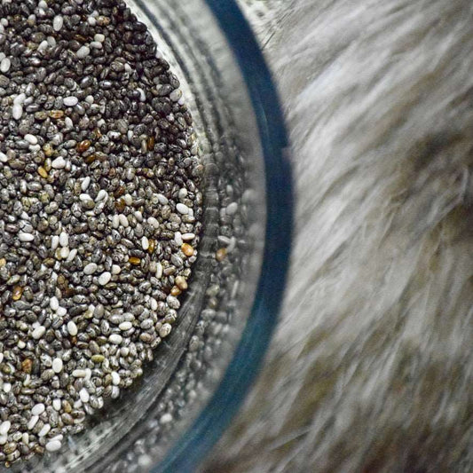 Chia Seeds