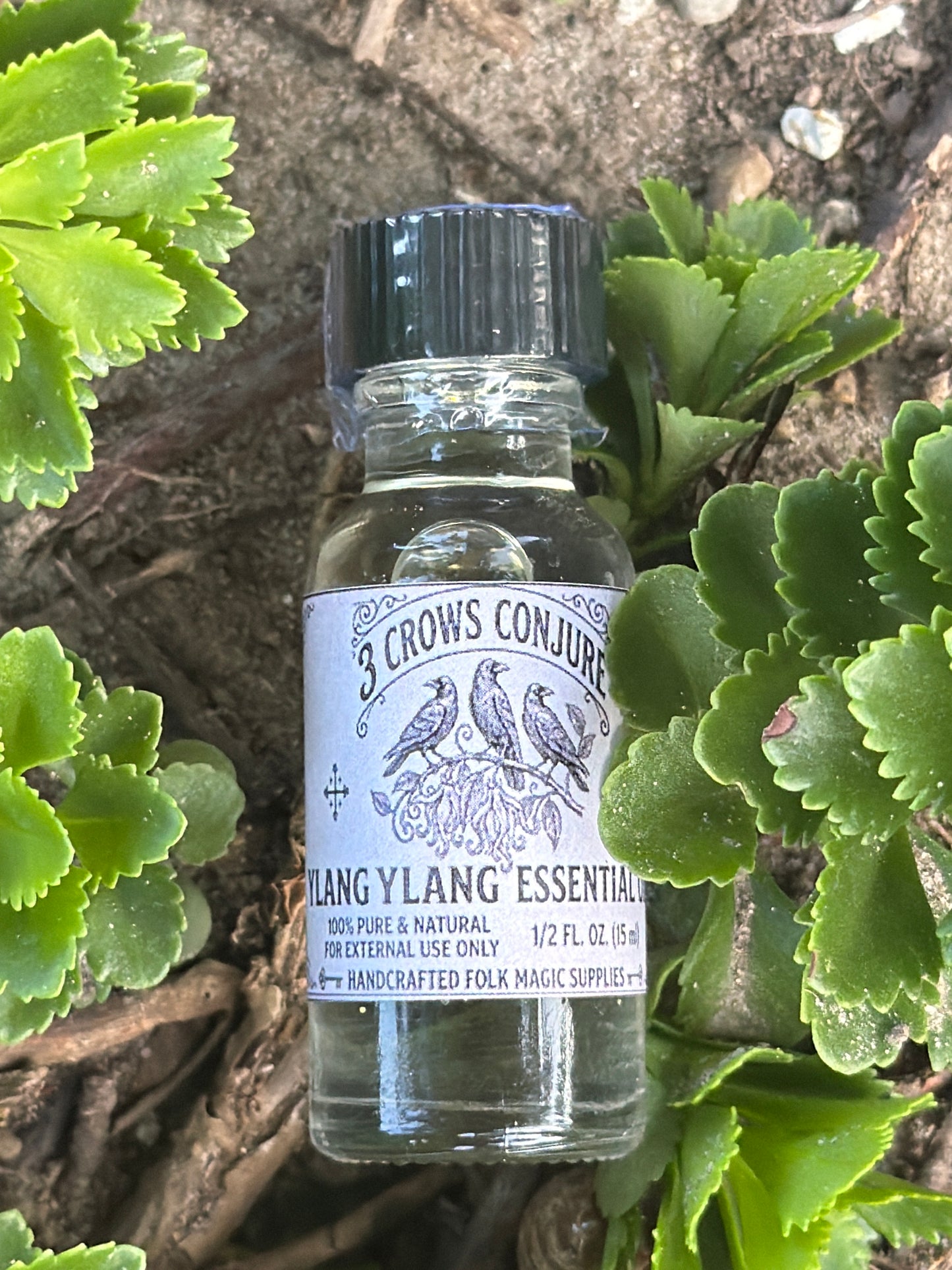 Ylang Ylang Essential Oil