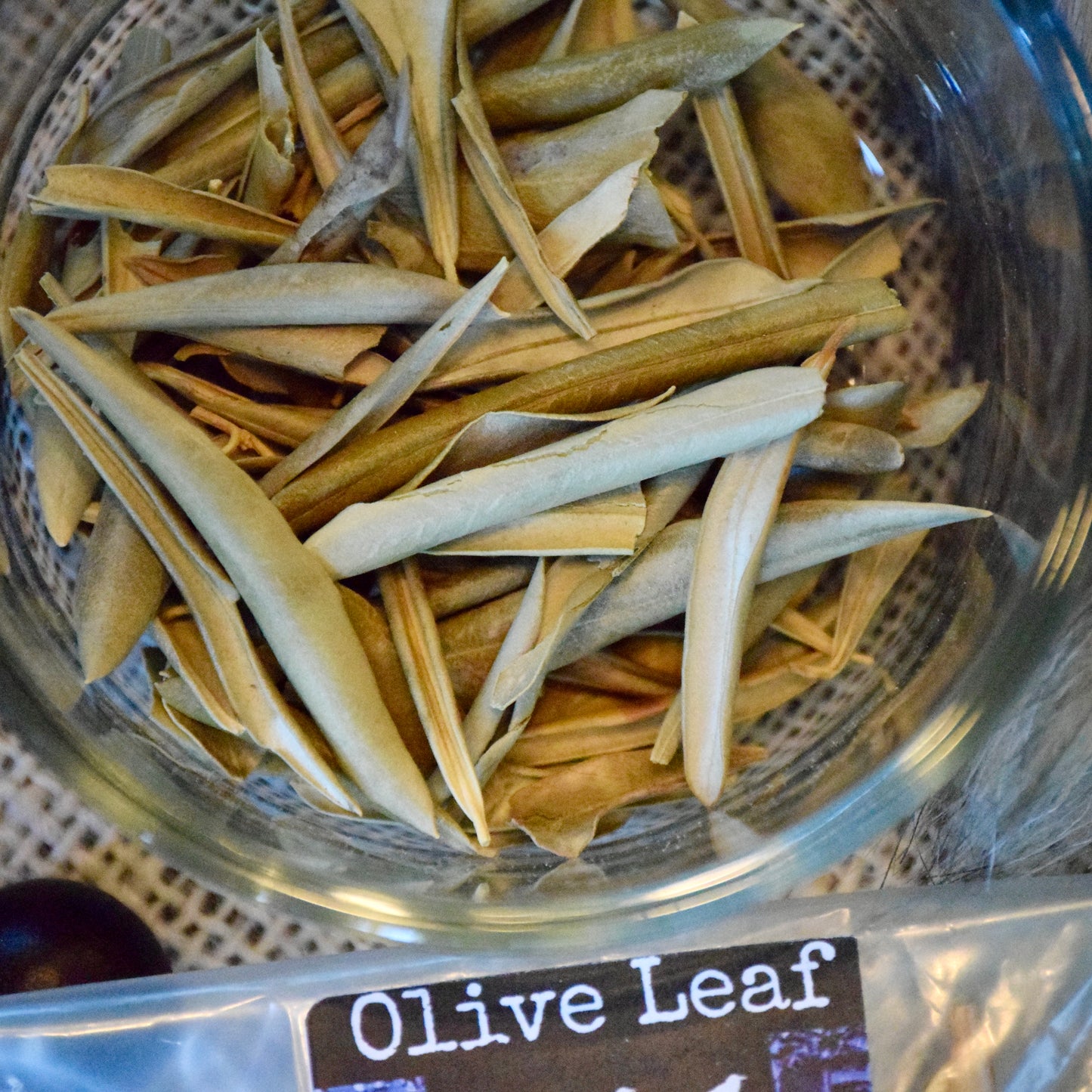 Olive Leaf