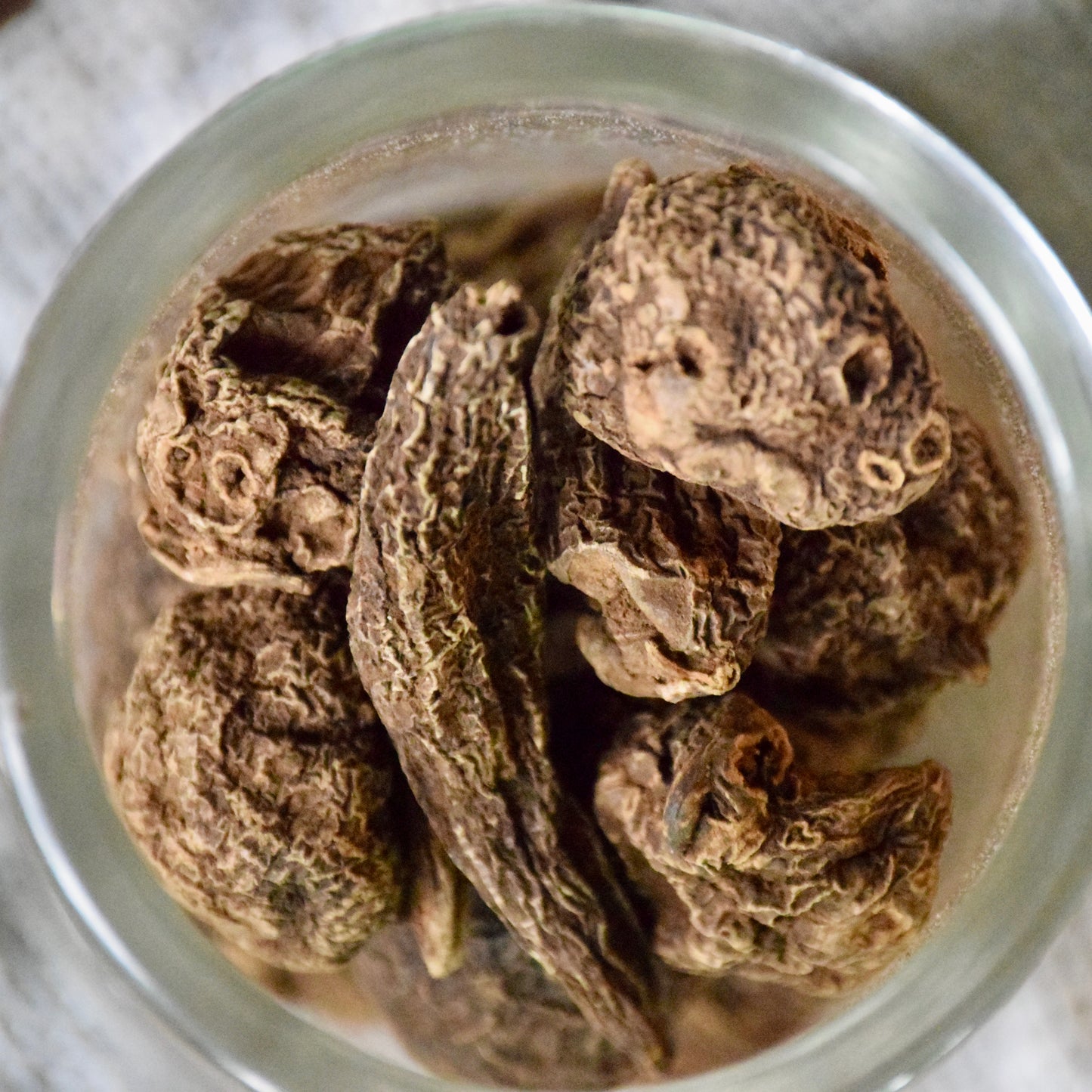 High John the Conqueror Root (Medium)