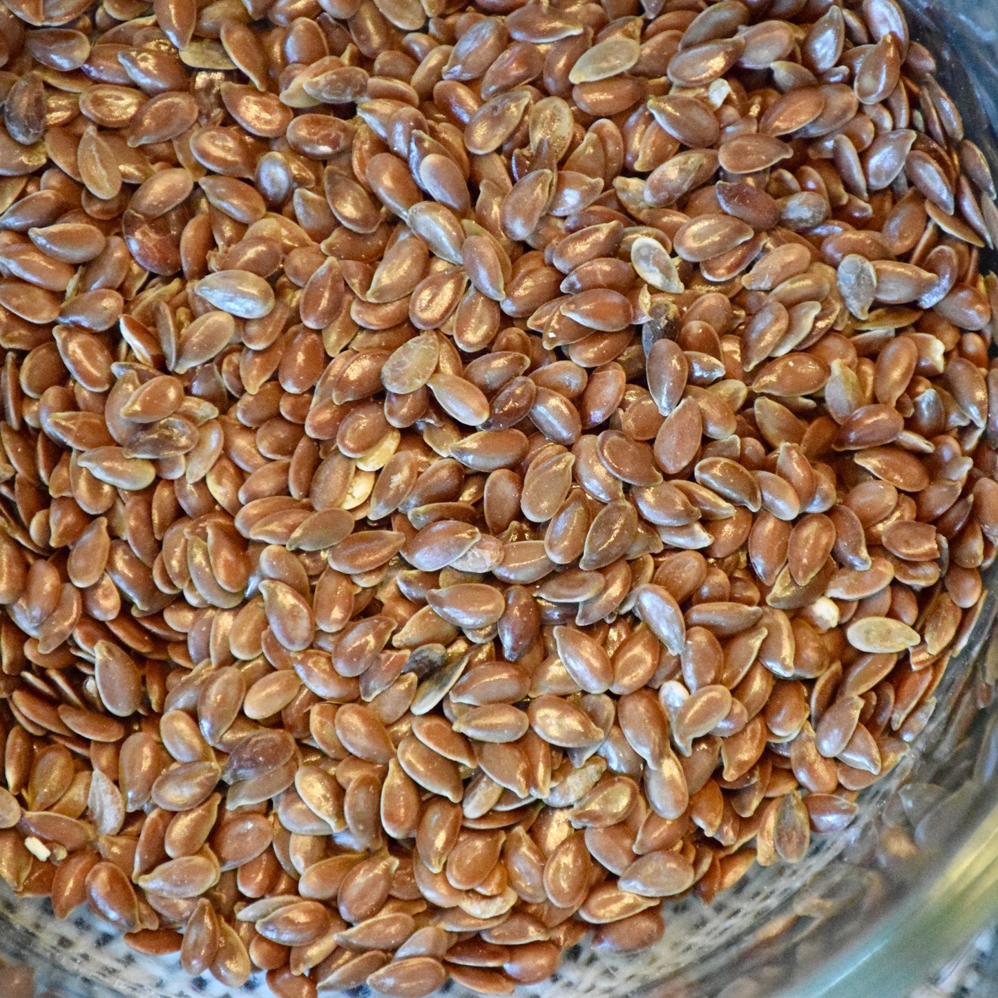 Flax Seeds