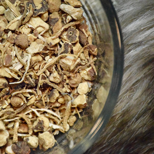 Dixie John Pieces (Southern John or Low John) Root