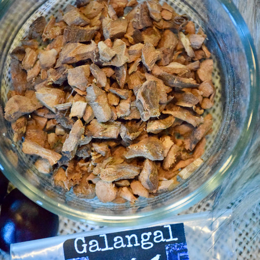 Galangal Root aka "Chewing John" or Little John