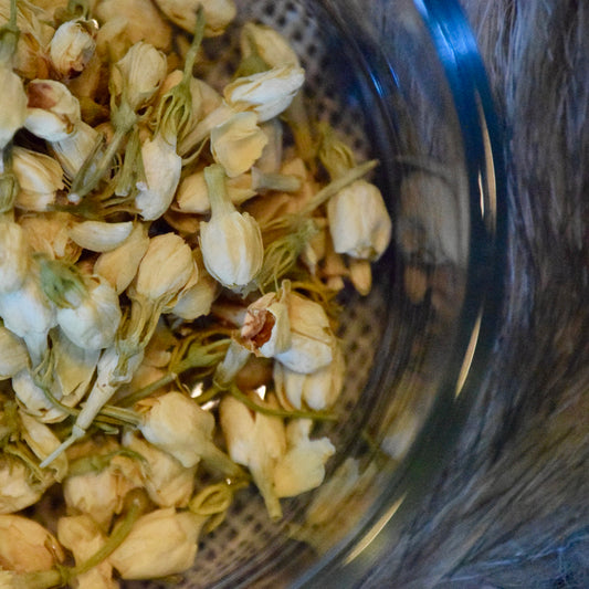 Jasmine Flower Buds