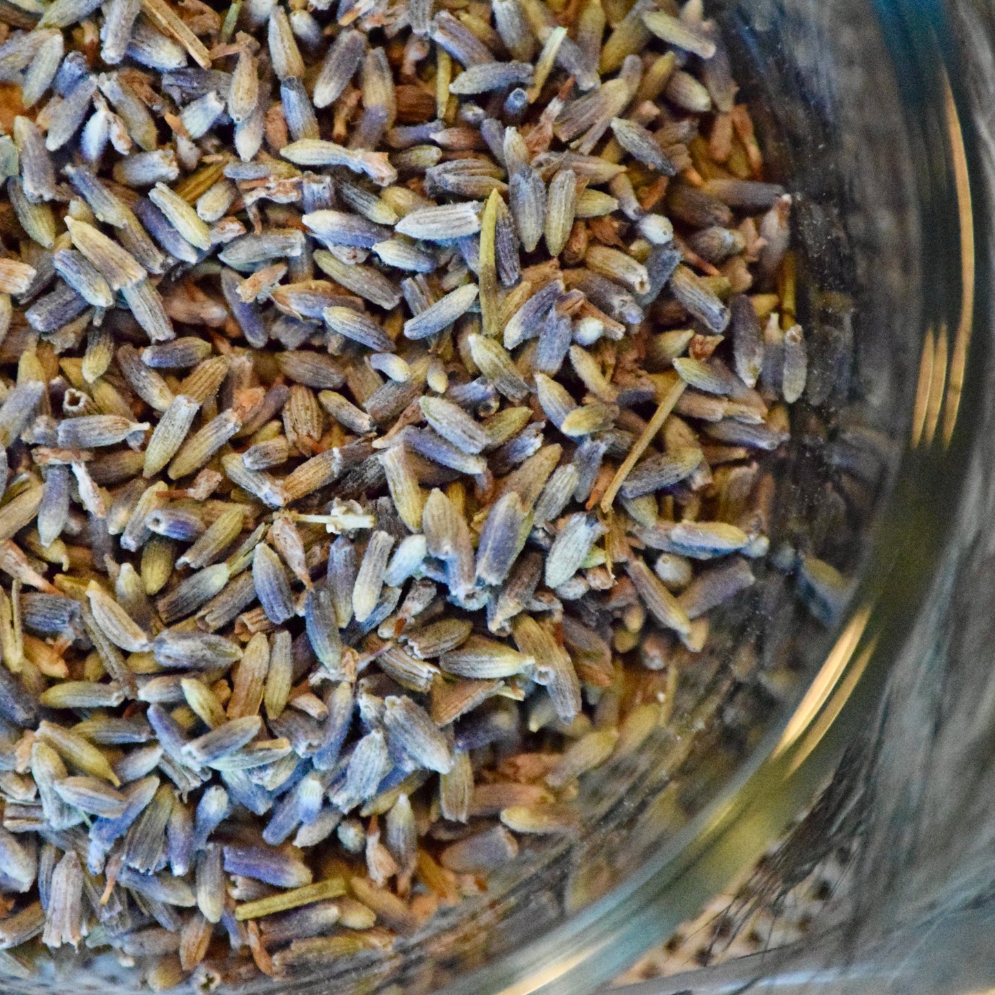 Lavender Buds