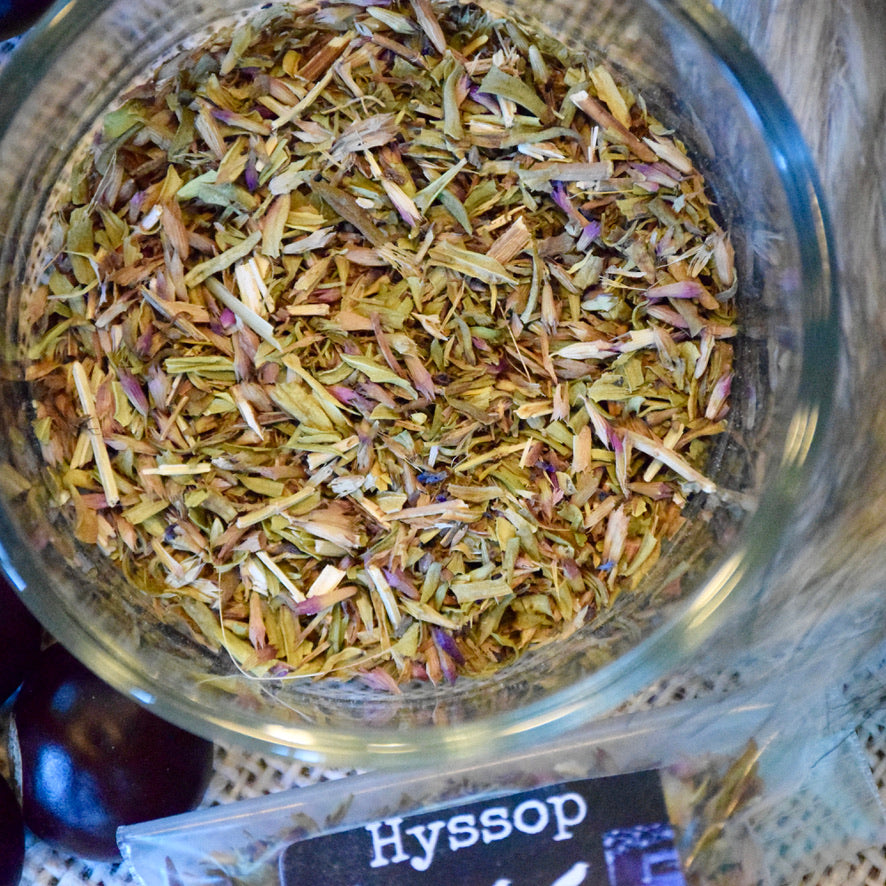 Hyssop