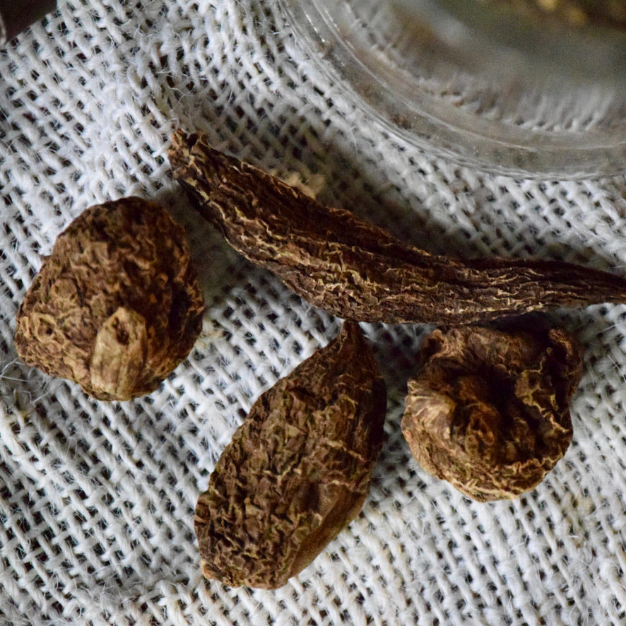 High John the Conqueror Root (Medium)