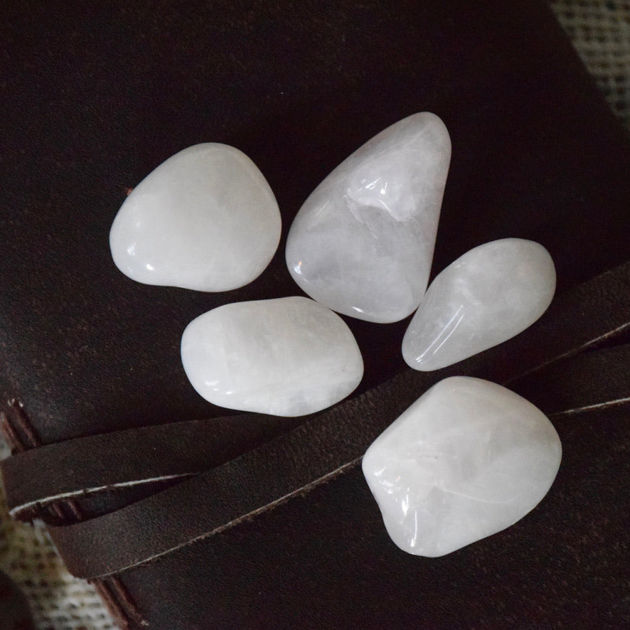 Rose Quartz (Tumbled)