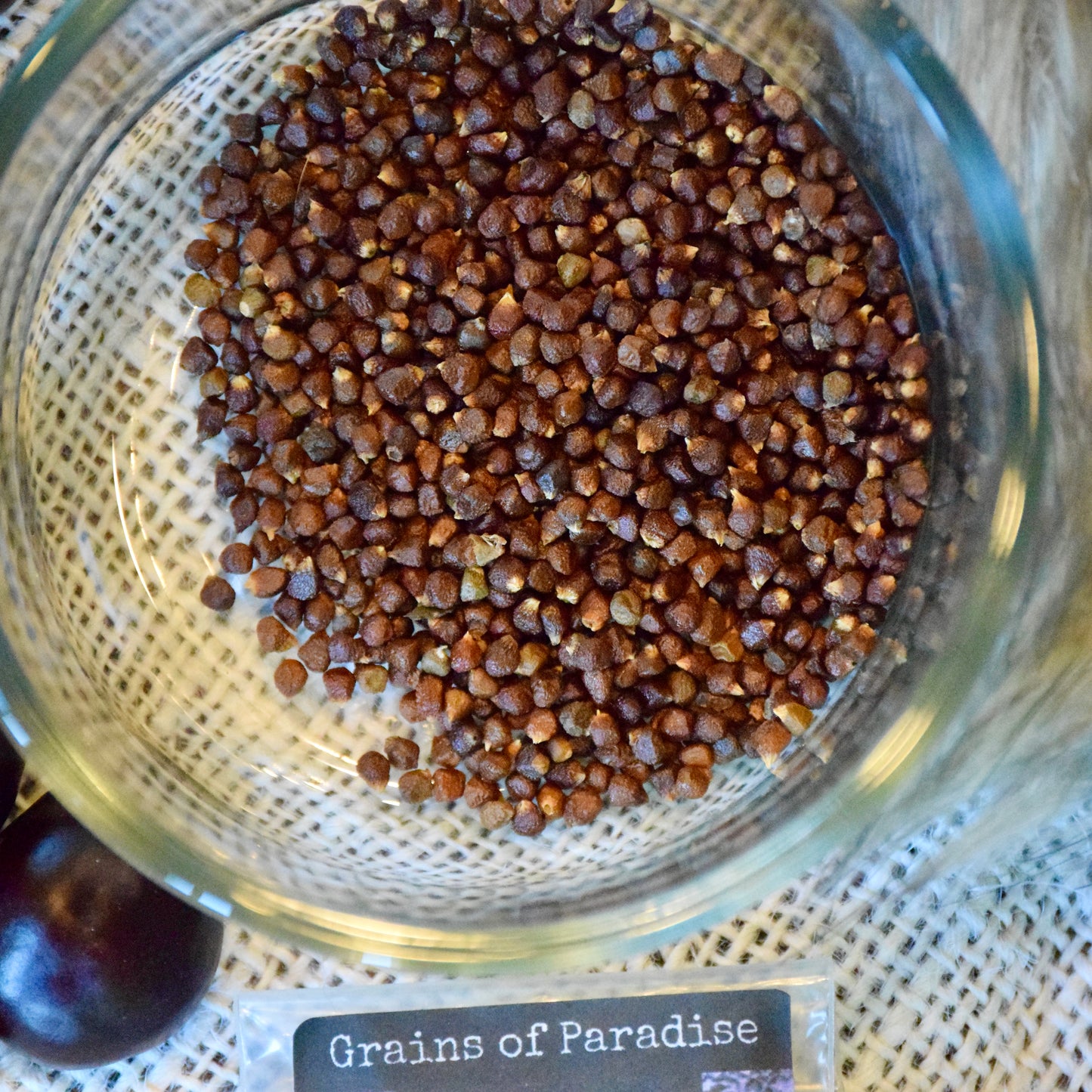 Grains of Paradise