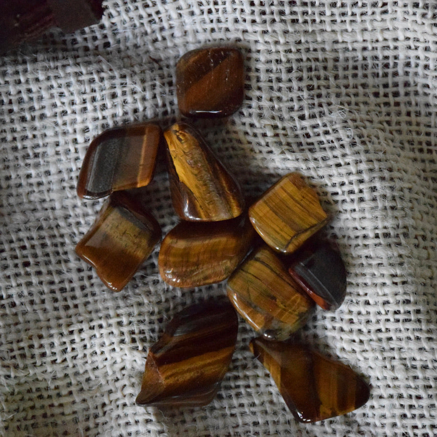 Gold Tiger Eye (Tumbled)