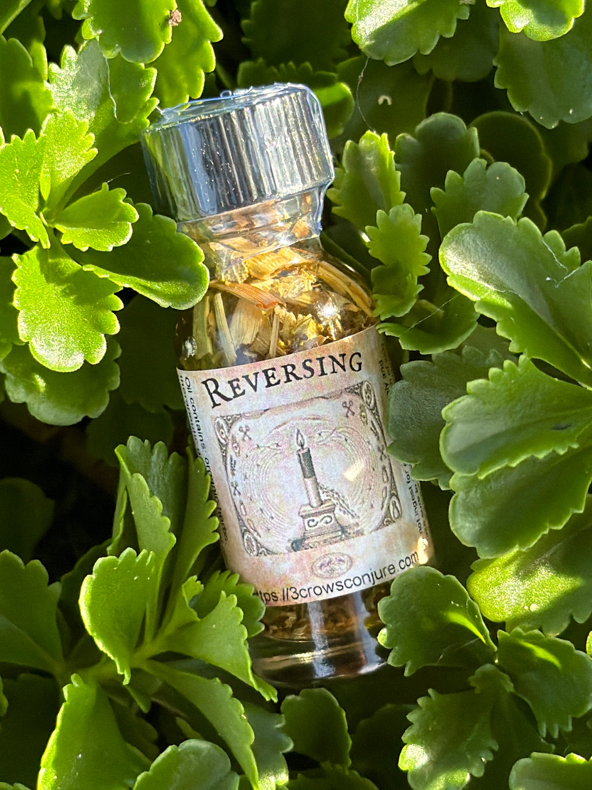 Reversing Oil