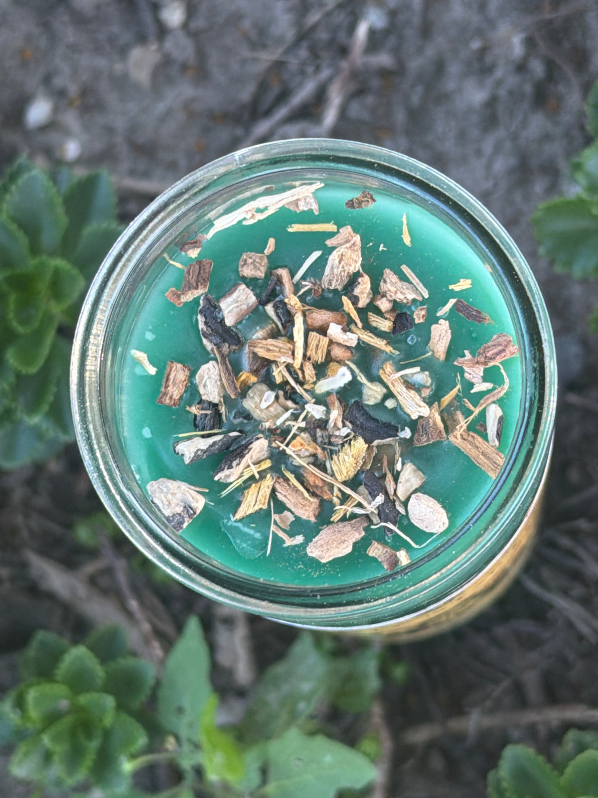 Saint Martha the Dominator 7 Day Fixed Candle