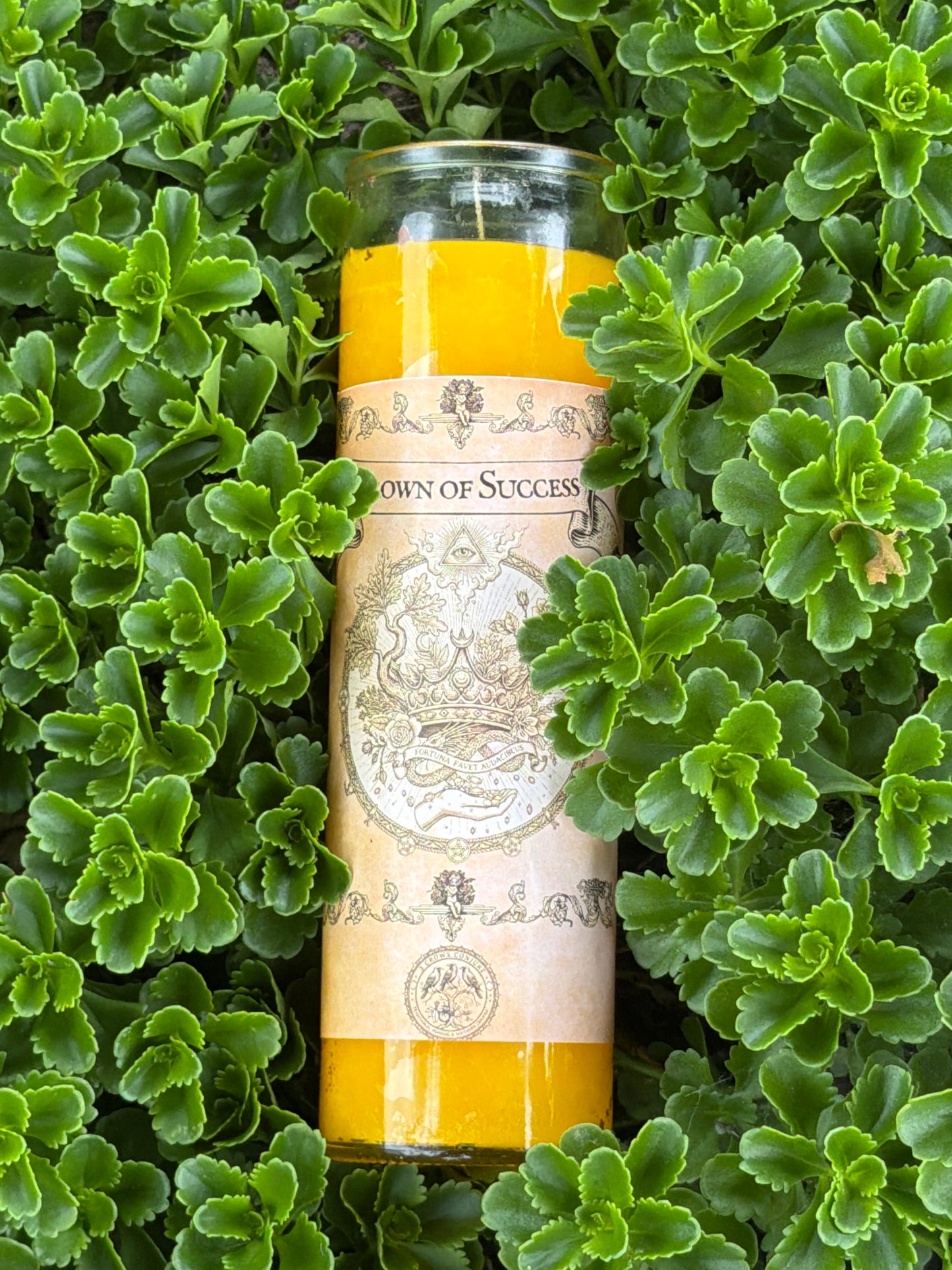 Crown Of Success 7 Day Fixed Candle