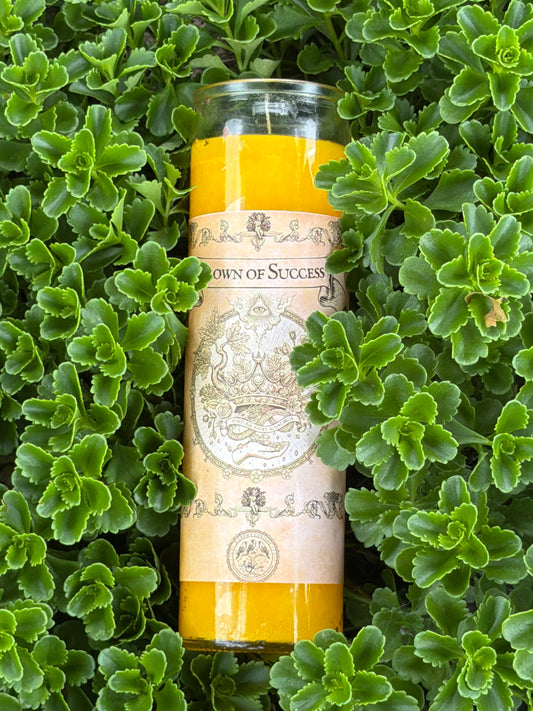 Crown Of Success 7 Day Fixed Candle