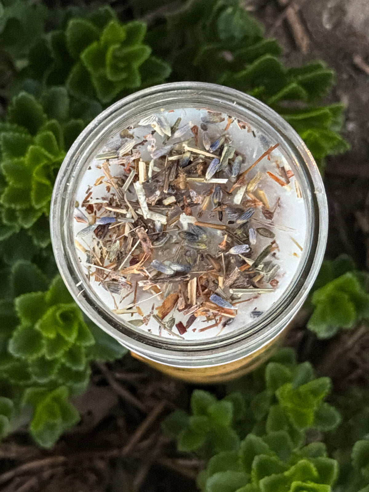 Saint Joan of Arc 7-Day Conjure Candle