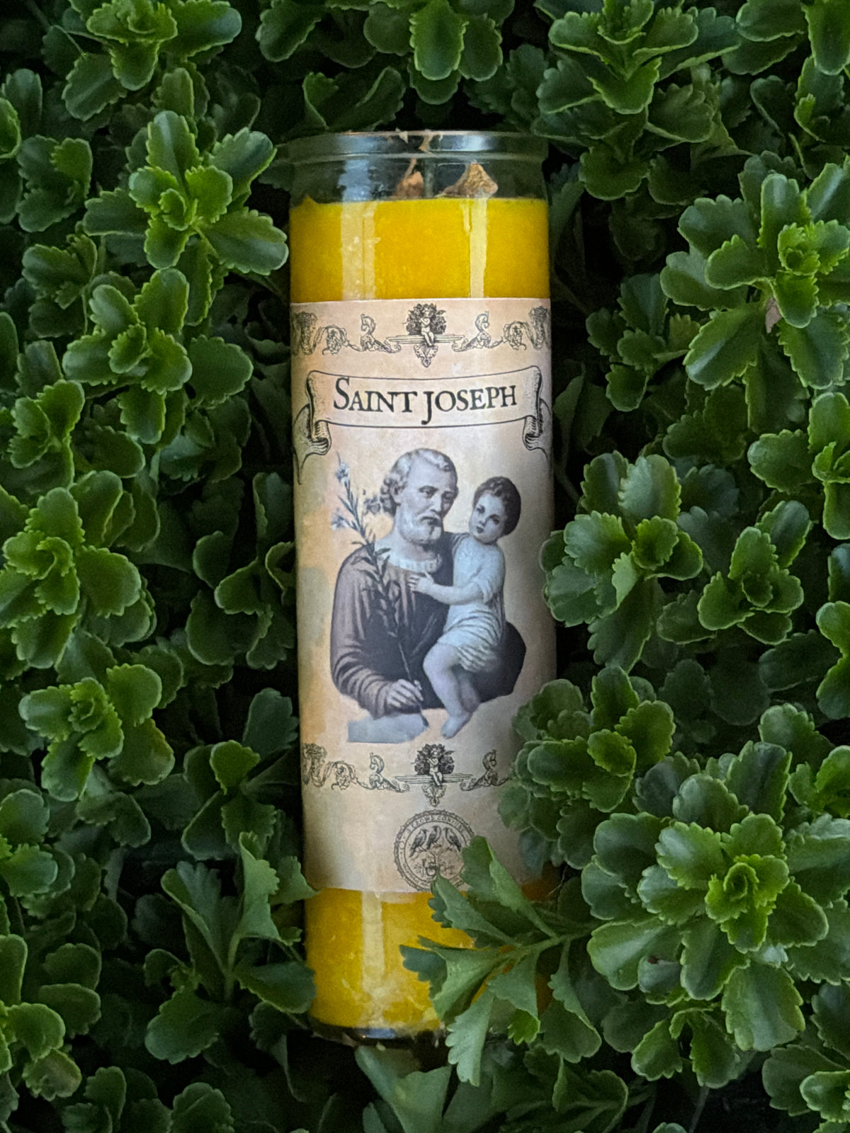 Saint Joseph 7 Day Fixed Candle