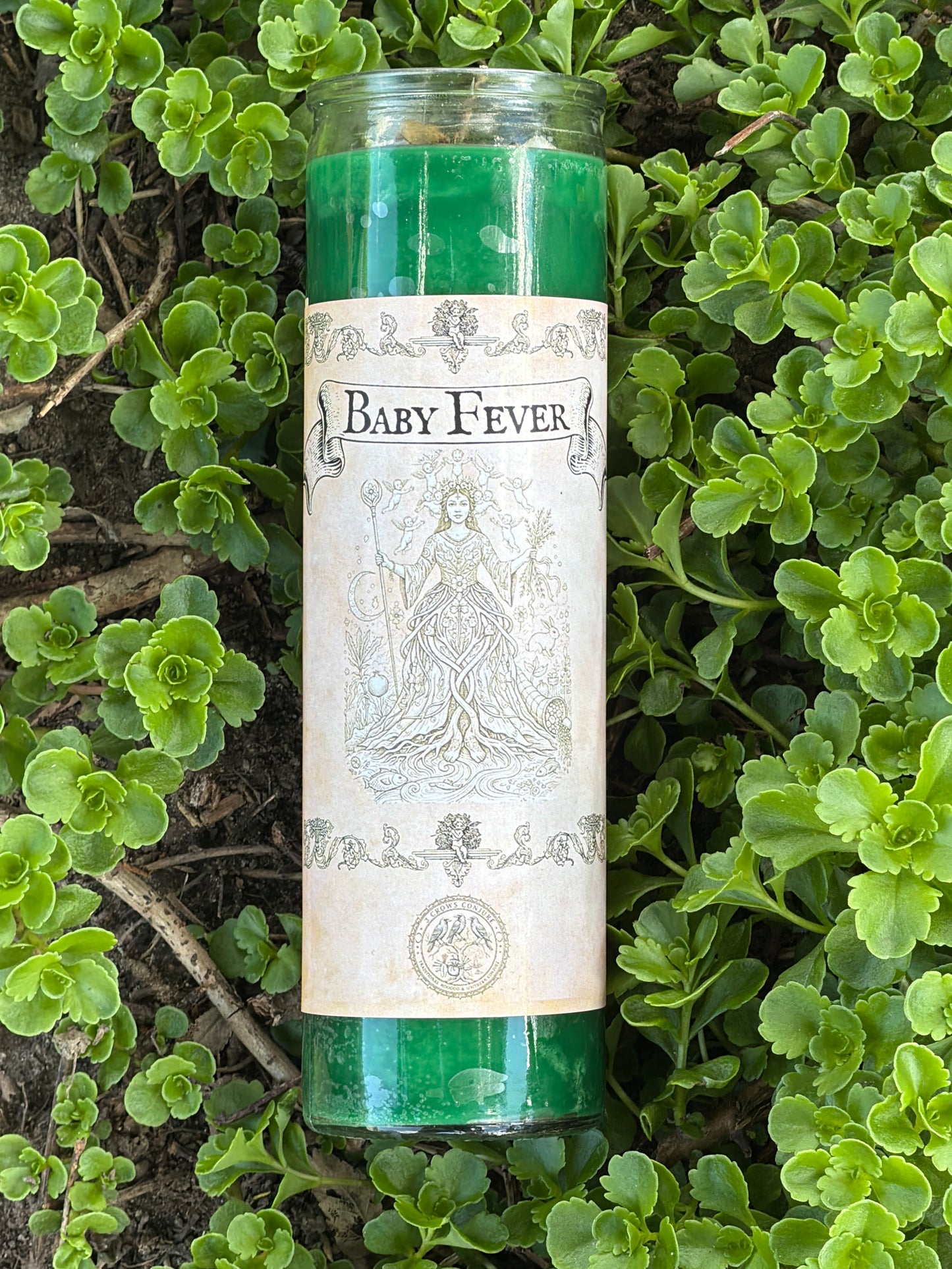 Baby Fever 7 Day Fixed Candle