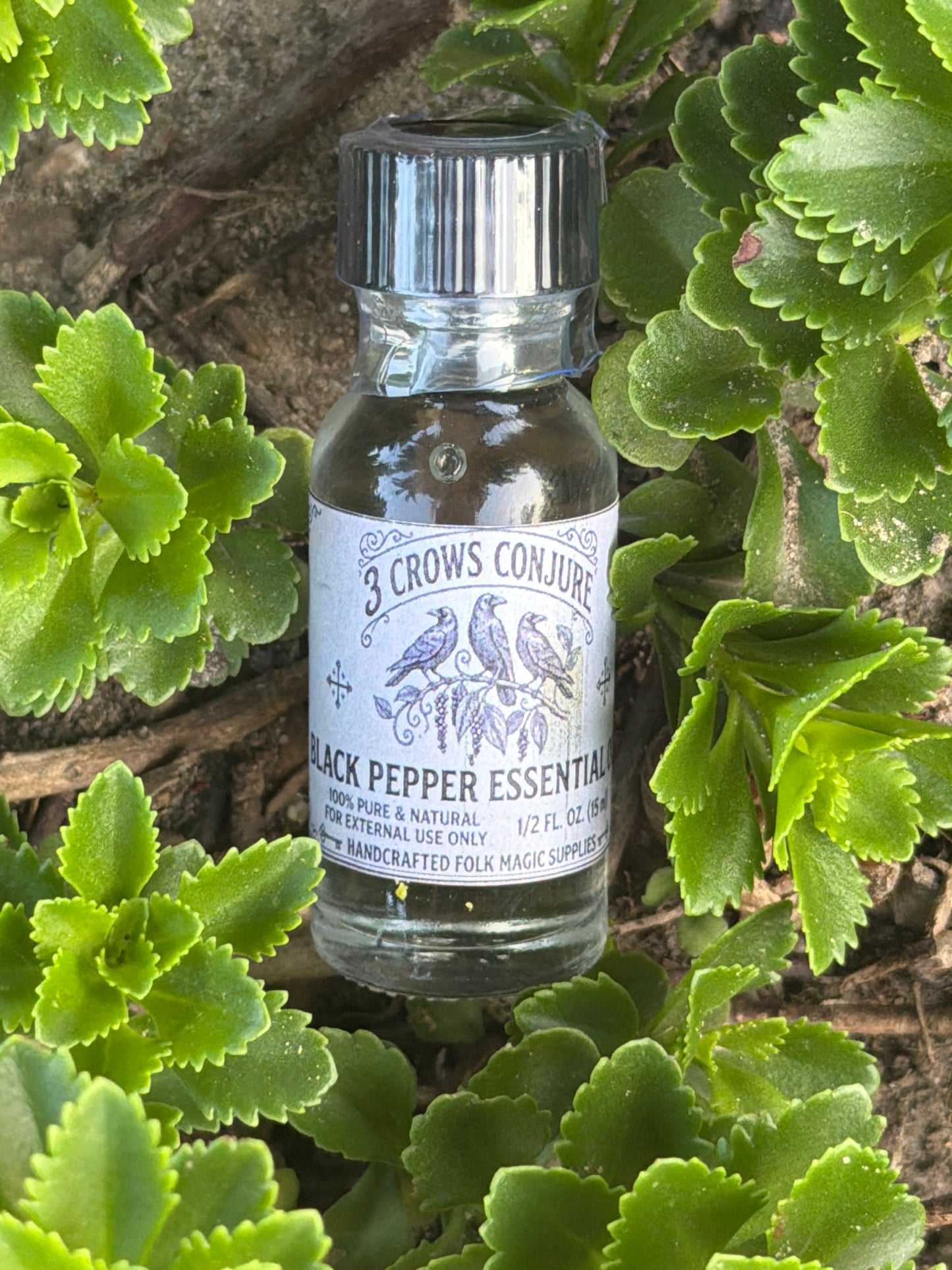 Black Pepper Essential Oil