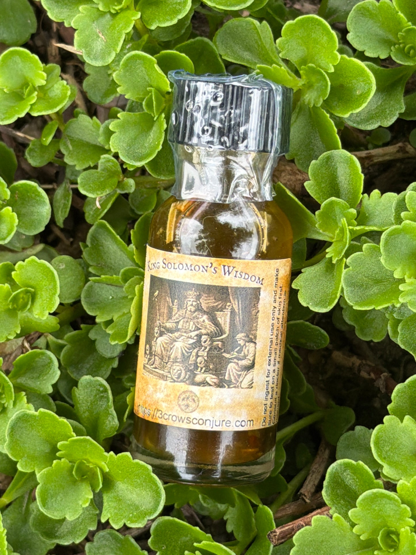 King Solomon's Wisdom Oil