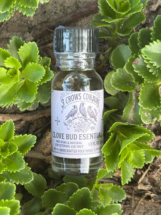 Clove Bud Essential Oil