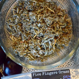 Five Finger Grass