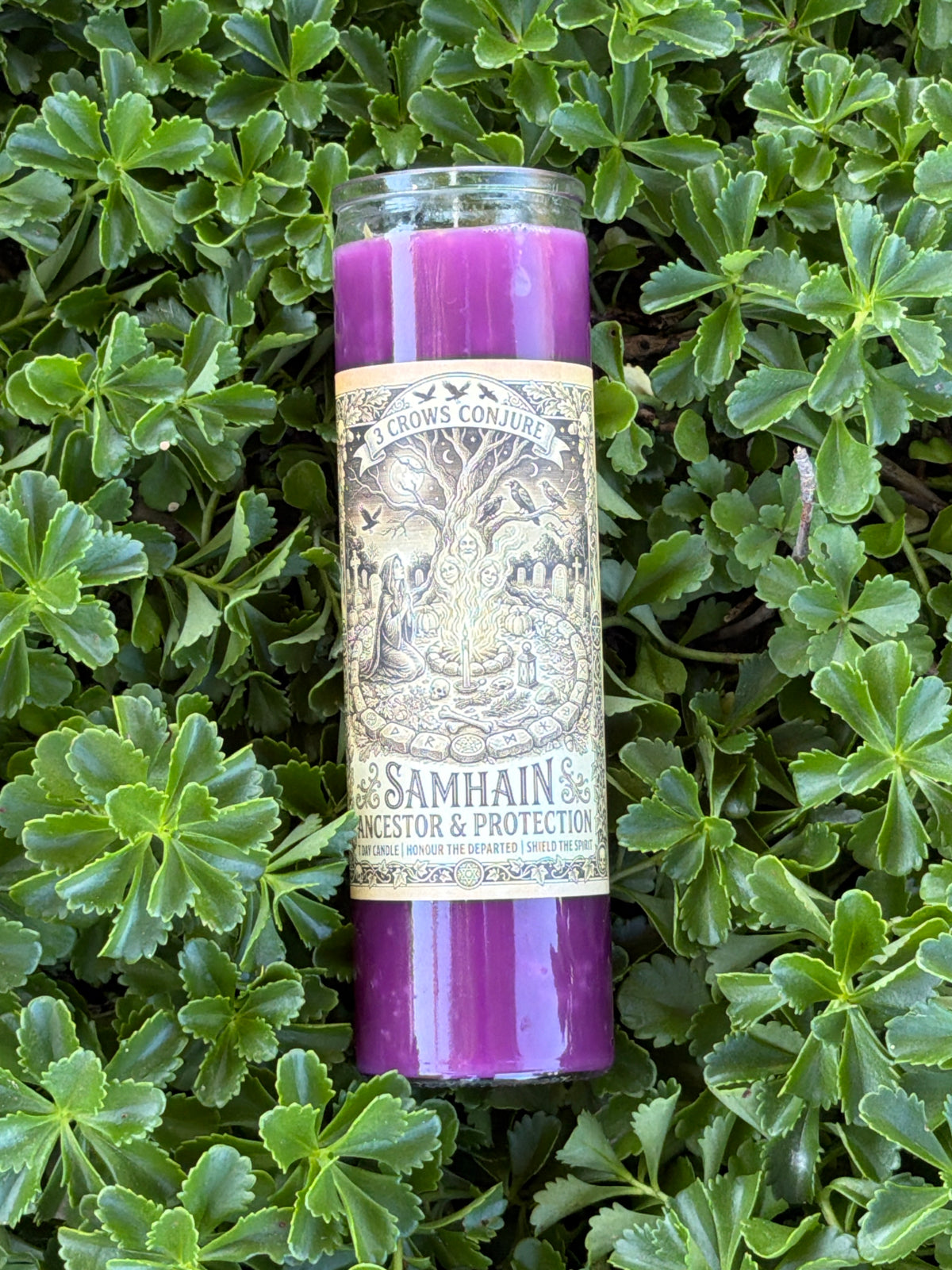 Samhain Ancestor & Protection Candle Run Service