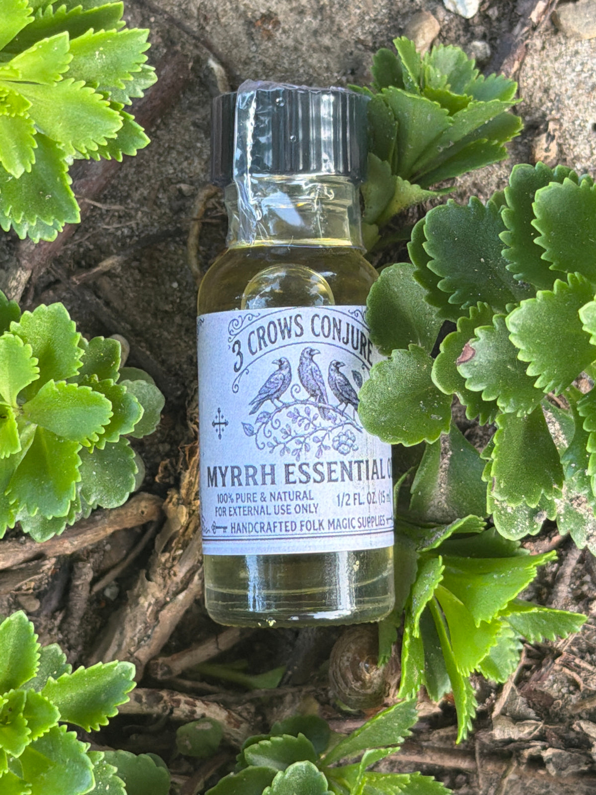 Myrrh Essential Oil
