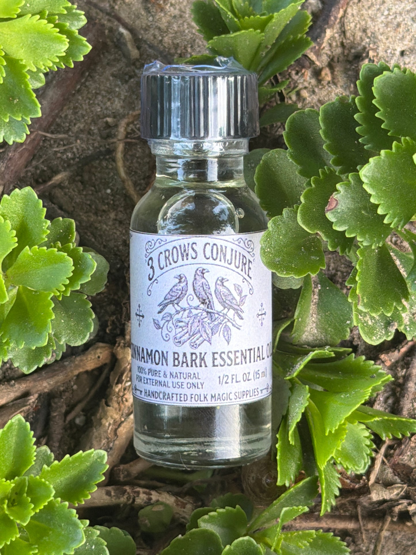 Cinnamon Bark Essential Oil