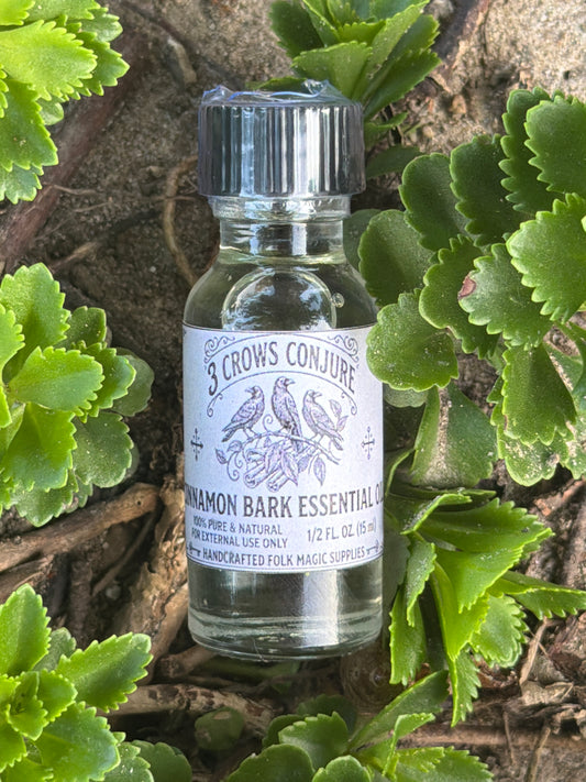 Cinnamon Bark Essential Oil