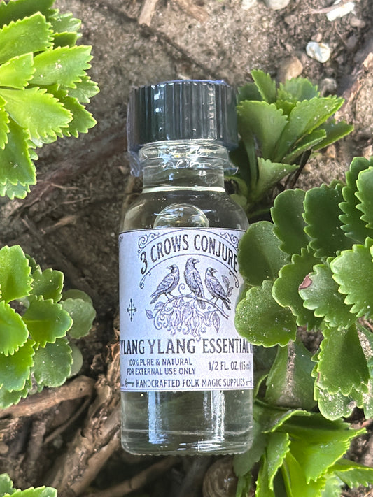 Ylang Ylang Essential Oil