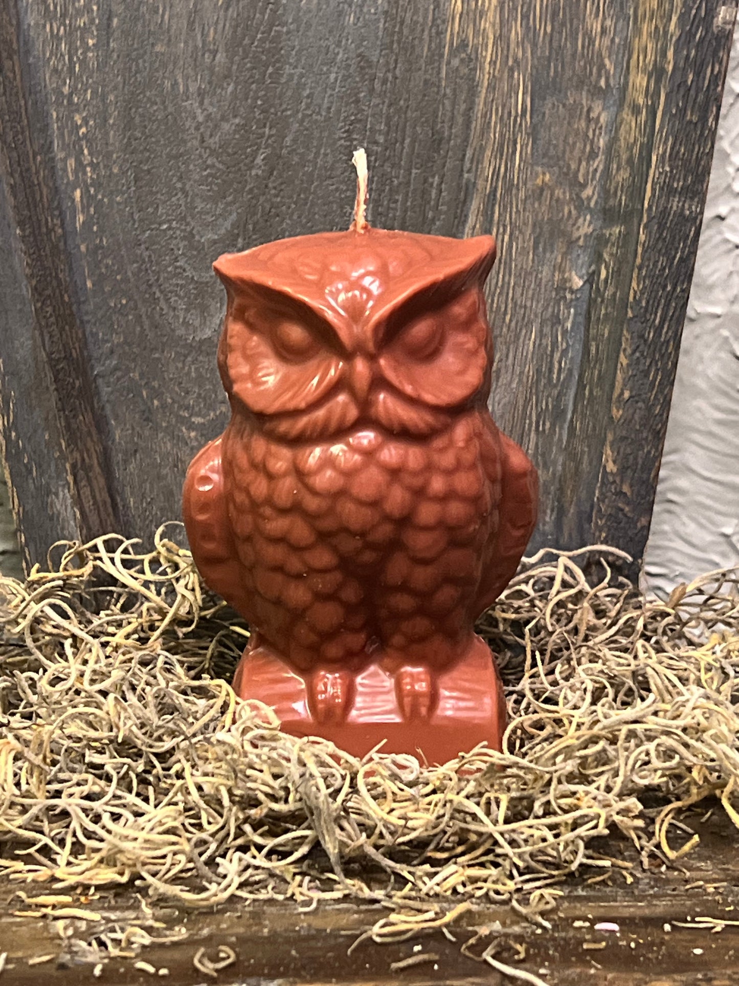 Owl Candle