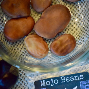 Mojo Beans (St. Joseph Beans)