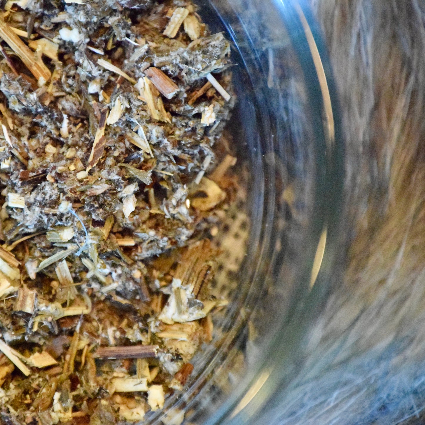 Mugwort