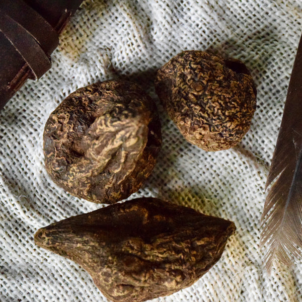 High John the Conqueror Root (Large)