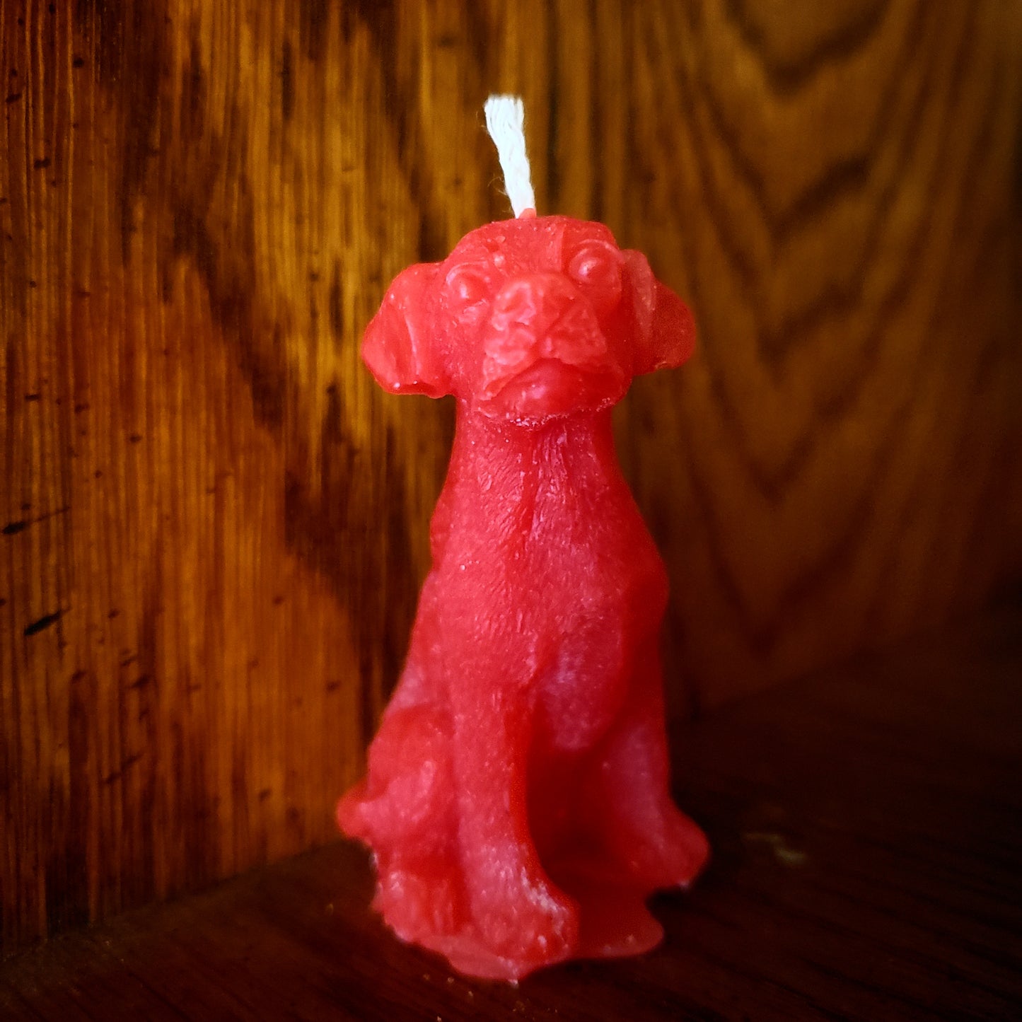 Small Dog Candle